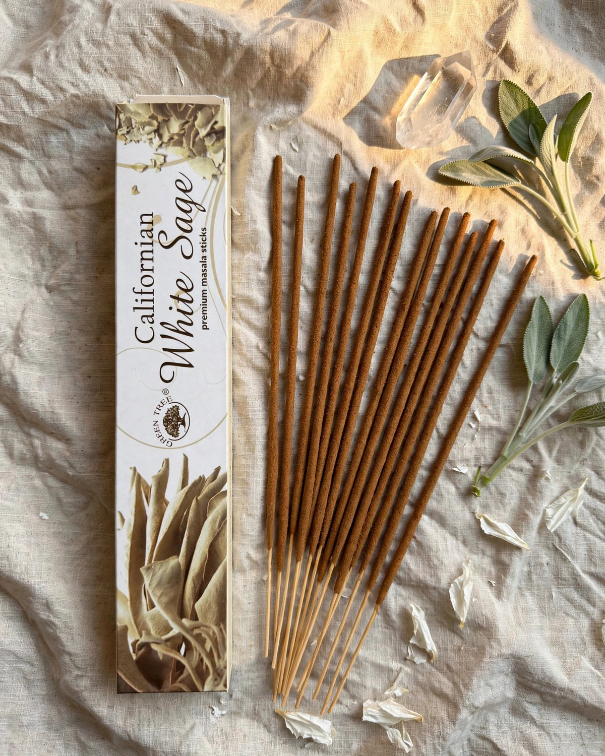 CALIFORNIAN WHITE SAGE | Apsivalymas ir Apsauga | Premium Masala