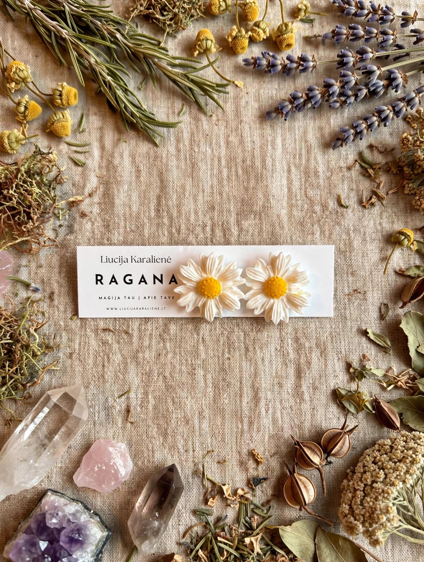 Raganos ramunės
